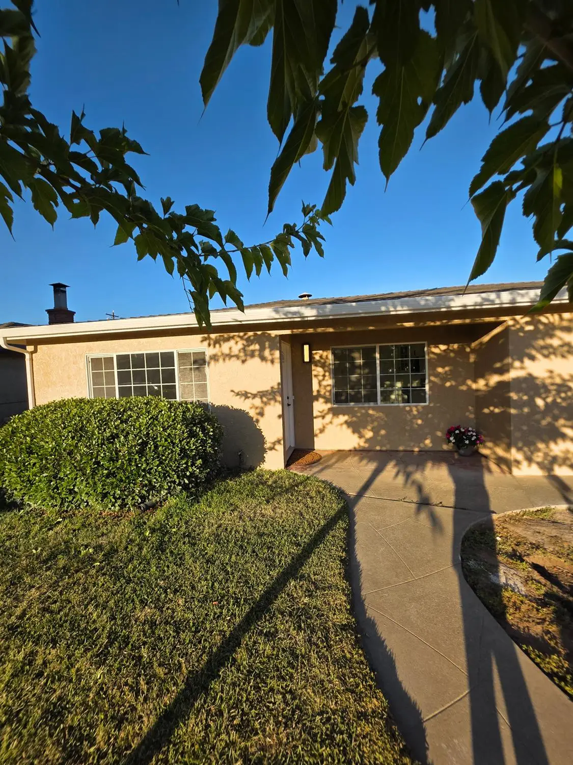 10042 Freesia Avenue, Stockton, CA 95212 - #1