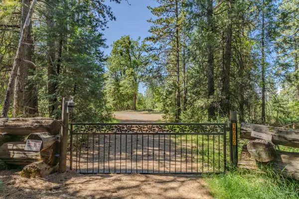 0 Schaefer Ranch Road, Pioneer, CA 95666