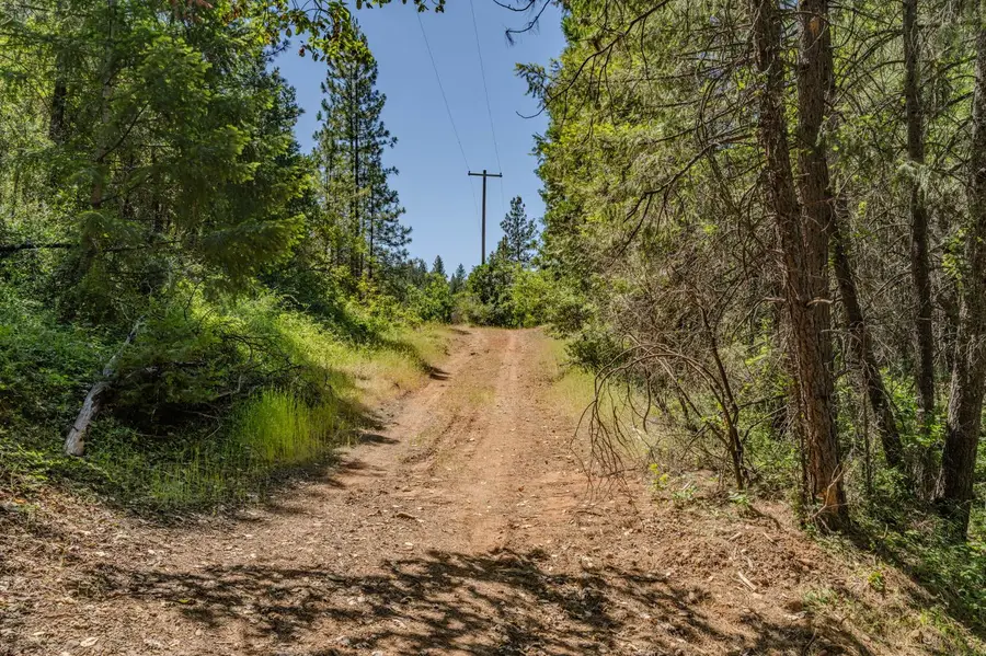 0 Schaefer Ranch Road, Pioneer, CA 95666 - #2