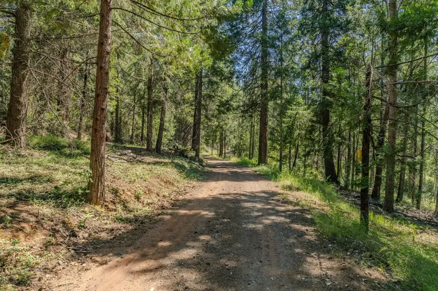 0 Schaefer Ranch Road, Pioneer, CA 95666 - #3