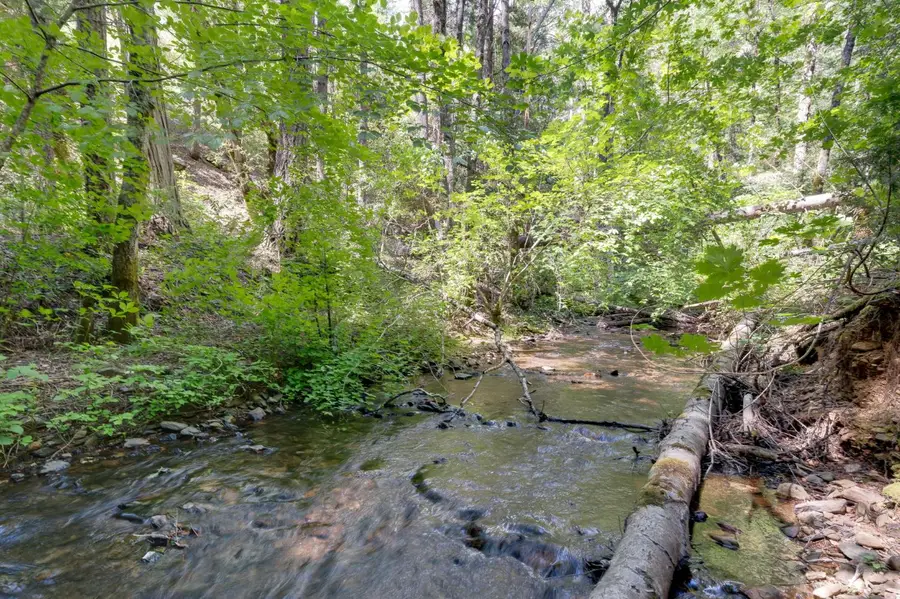 141 Glory Hole, Pike, CA 95358 - #2