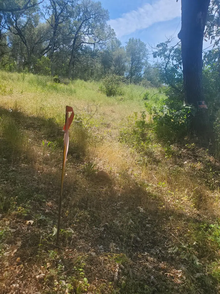 1190 Jurgens, Rescue, CA 95672 - #3