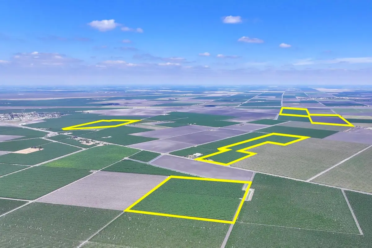 7802 S James Road, San Joaquin Tranquillity, CA 93660 - #1