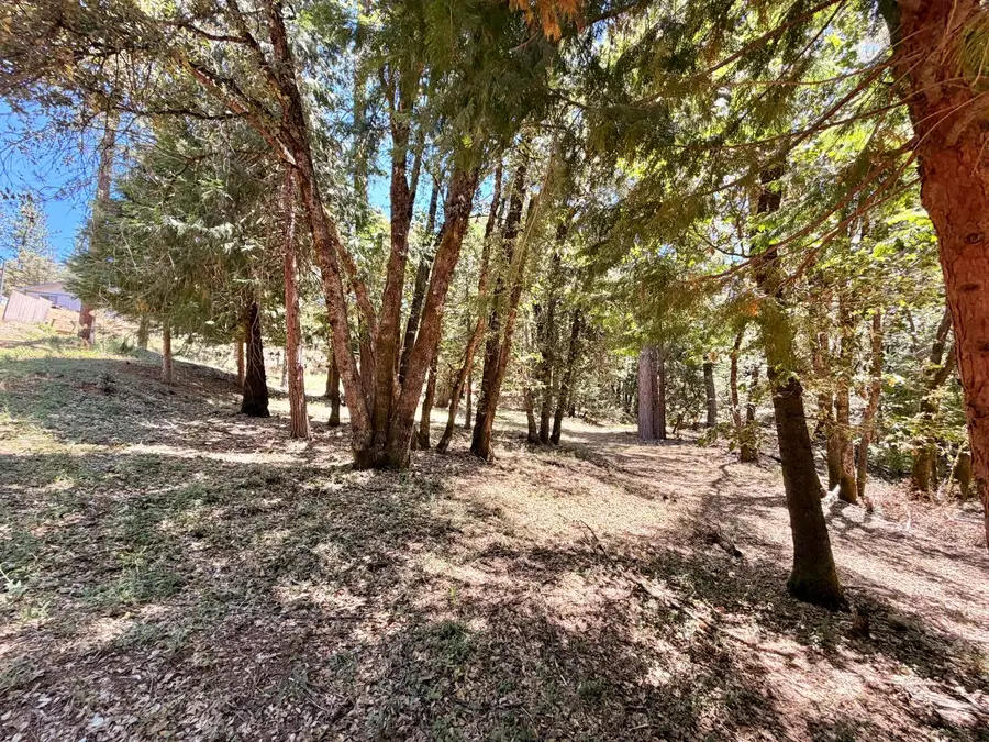 16404 Greenhorn Road, Grass Valley, CA 95945 - #2