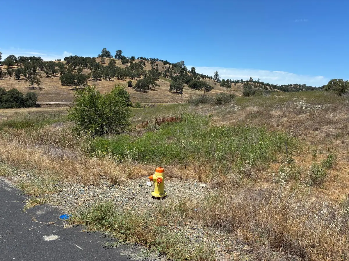 0 Pepito Dr, La Grange, CA 95329 - #1
