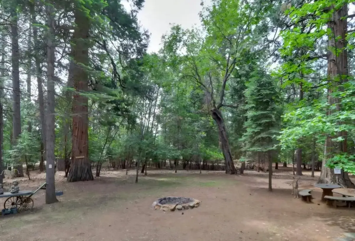5695 Juarez Road, Pollock Pines, CA 95726 - #1