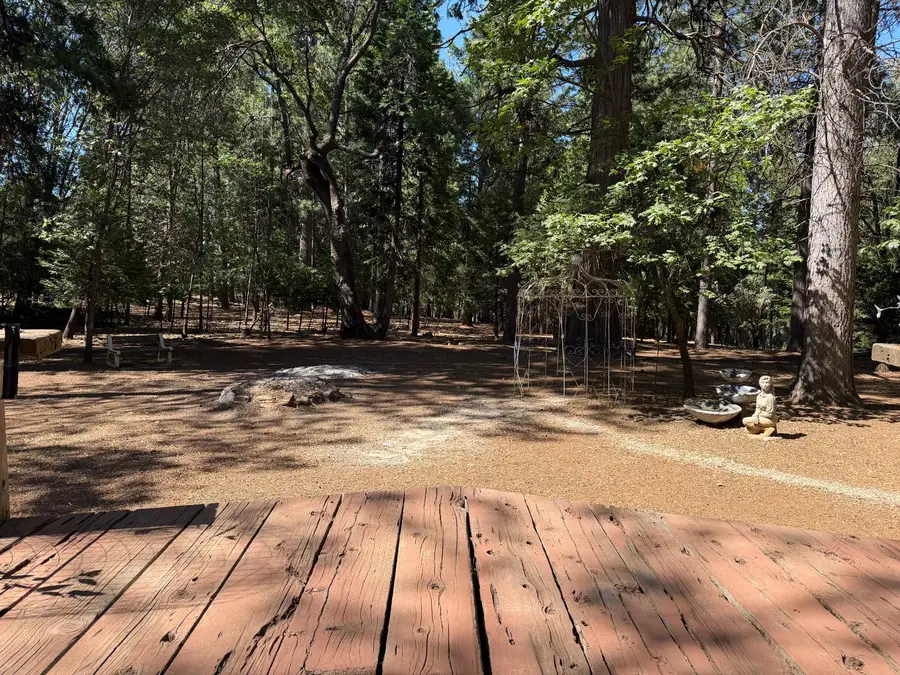 5695 Juarez Road, Pollock Pines, CA 95726 - #3