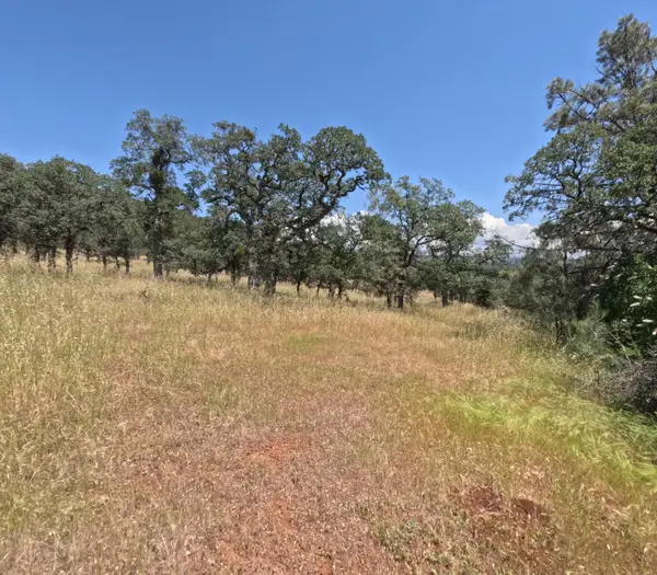 0 Hazen Road, Manton, CA 96059