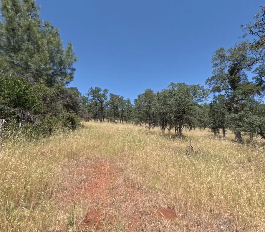 0 Hazen Road, Manton, CA 96059 - #2