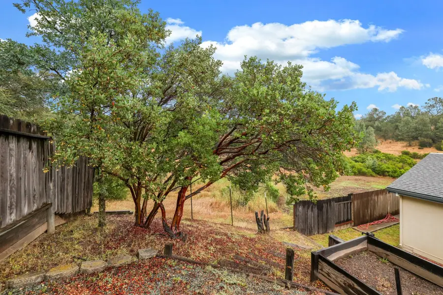 6019 W Park Drive, Ione, CA 95640 - #3