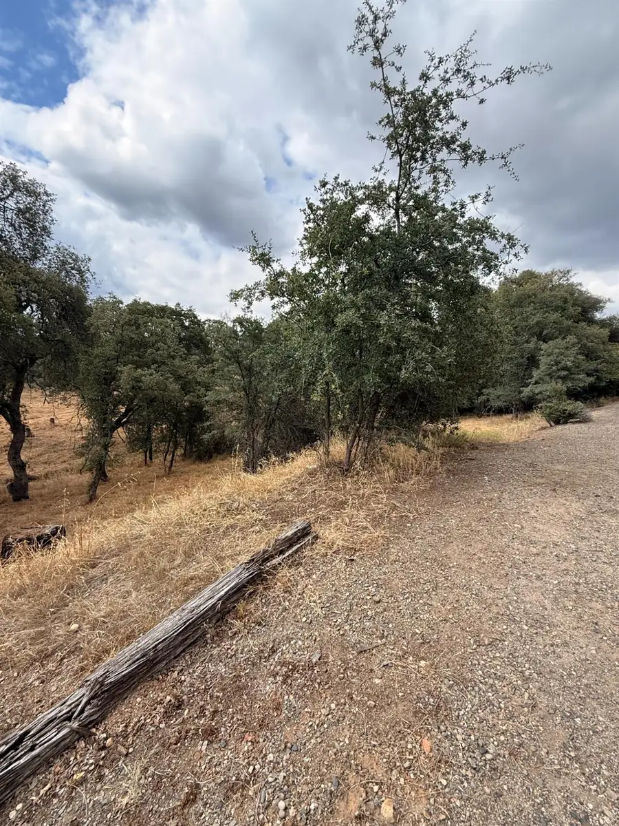 10357 Tulipan Way, Coulterville, CA 95311 - #2