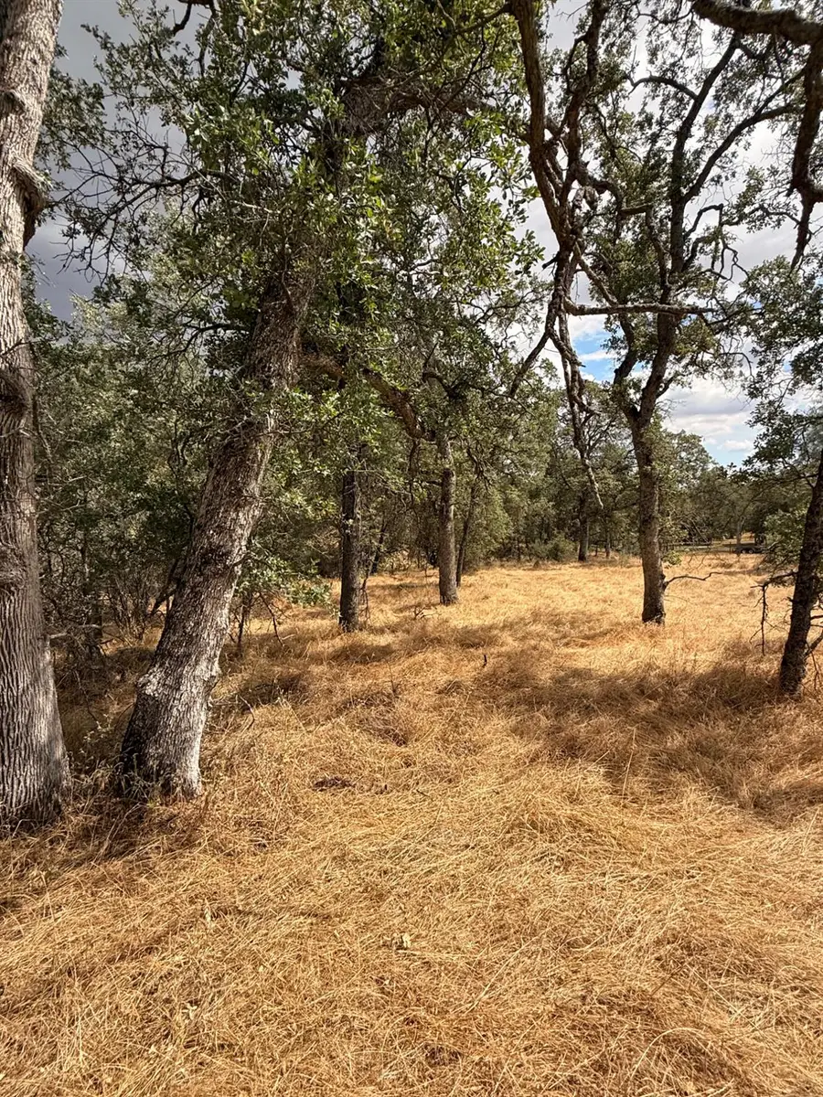 10357 Tulipan Way, Coulterville, CA 95311 - #3