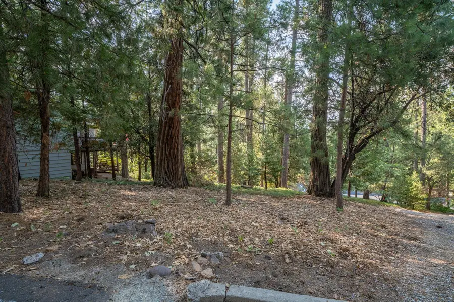 51 Canterwood Lane, Murphys, CA 95247 - #2