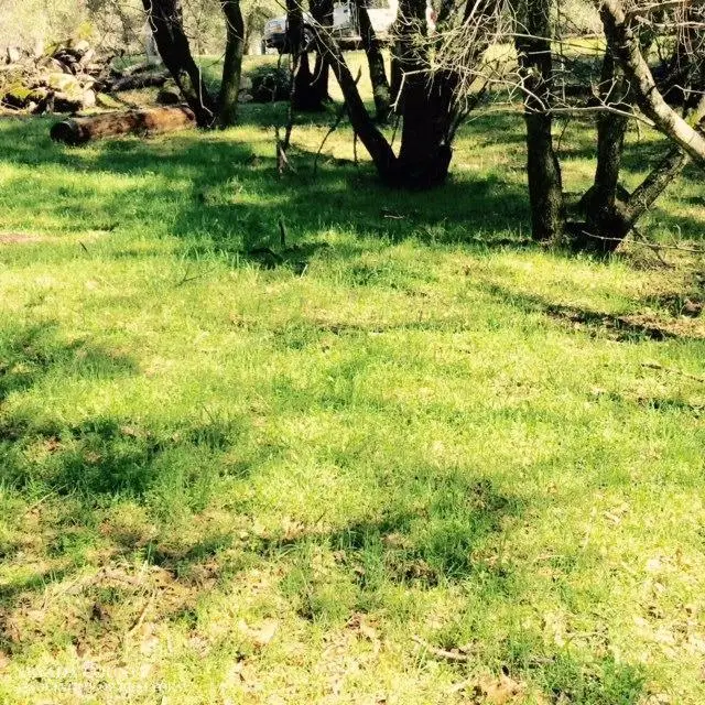 20306 Chaparral Circle, Penn Valley, CA 95946 - #1