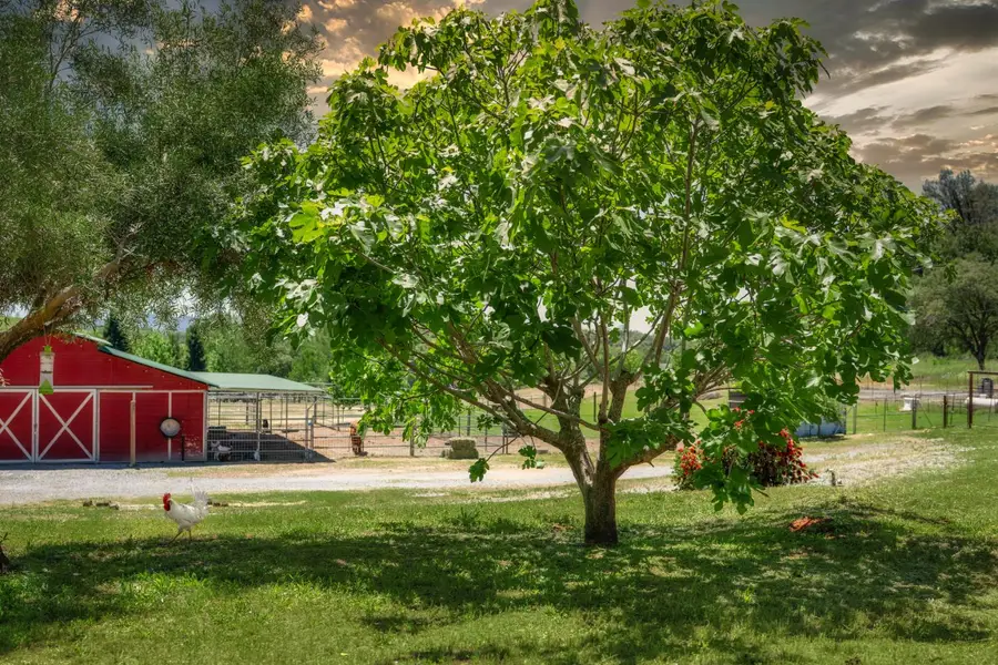 3397 Ahwahnee Way, Cool, CA 95614 - #3