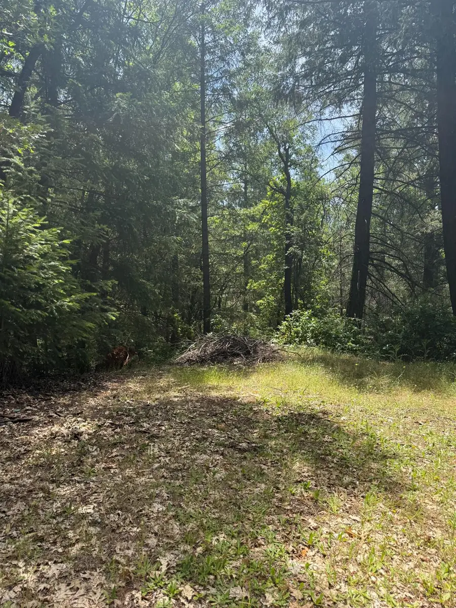 6036 Buffalo Hill Court, Georgetown, CA 95634 - #3