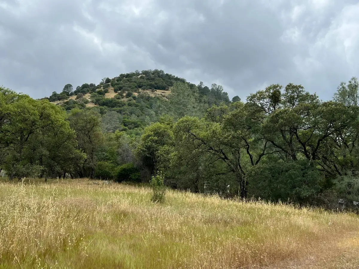 10840 Pool Station Road, Angels Camp, CA 95222 - #1