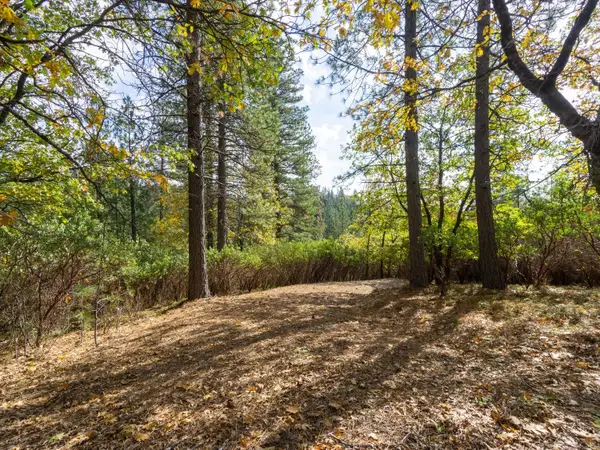 5031 Anne Louise Lane, Placerville, CA 95667