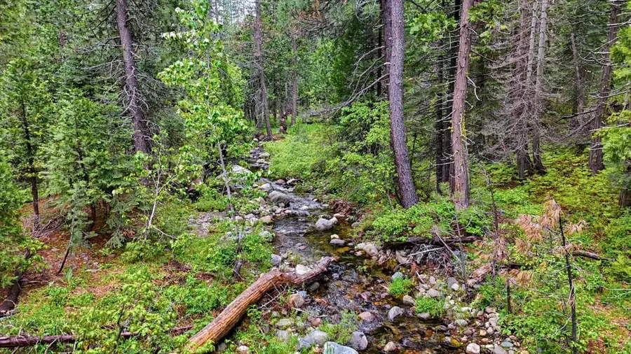 0 Texas Hill Rd, Emigrant Gap, CA 95715 - #3