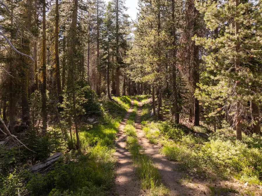 11415 Granite Court, Soda Springs, CA 95728 - #3