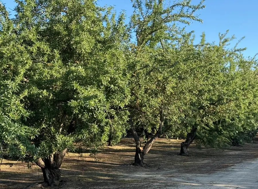 2700 North Avenue, Modesto, CA 95358 - #2