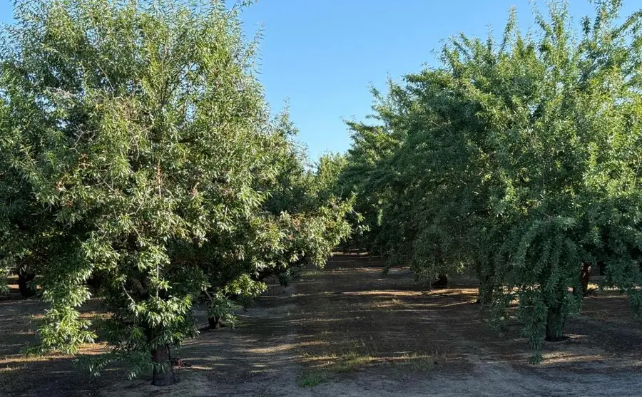 2700 North Avenue, Modesto, CA 95358 - #3