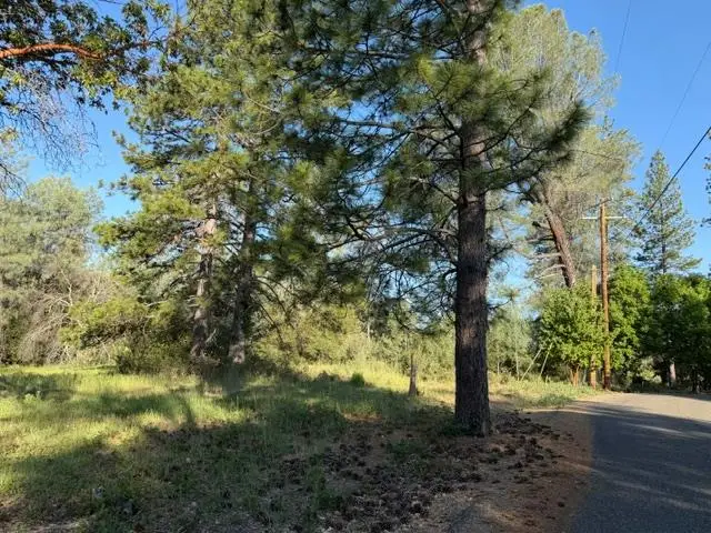 9030 Orval Beckett Court, Placerville, CA 95667 - #1