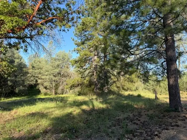 9030 Orval Beckett Court, Placerville, CA 95667 - #2