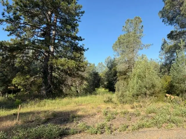9030 Orval Beckett Court, Placerville, CA 95667 - #3