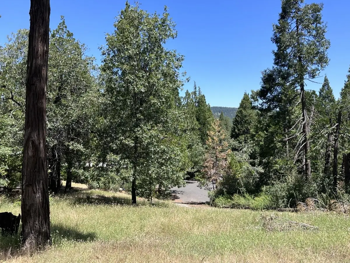 3720 Cedar Vista, Murphys, CA 95247 - #1