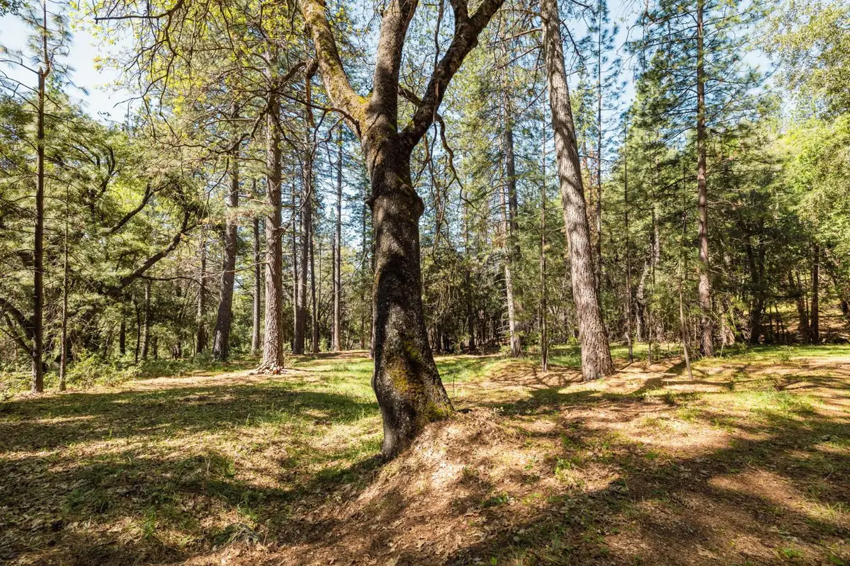 14737 Big Hill Road, Sonora, CA 95370 - #1