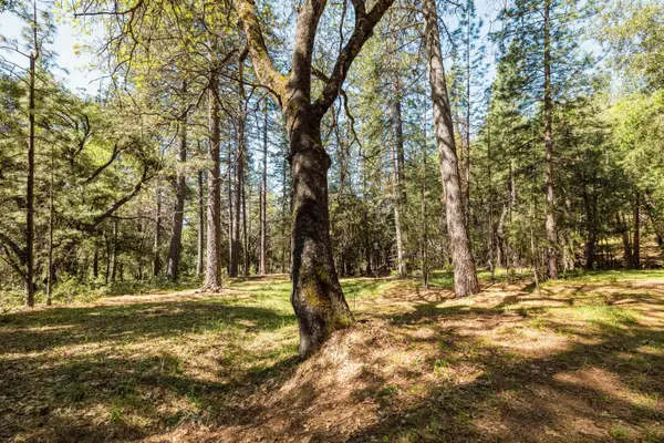 14737 Big Hill Road, Sonora, CA 95370