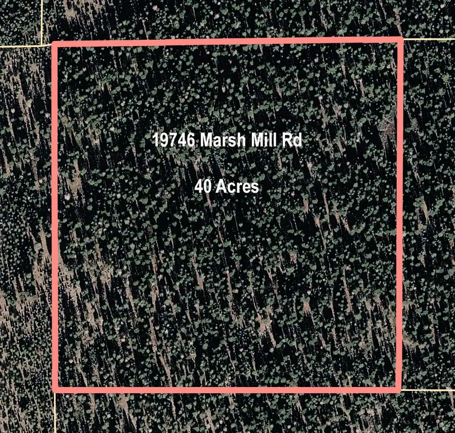 19746 Marsh Mill Road, Nevada City, CA 95959 - #2