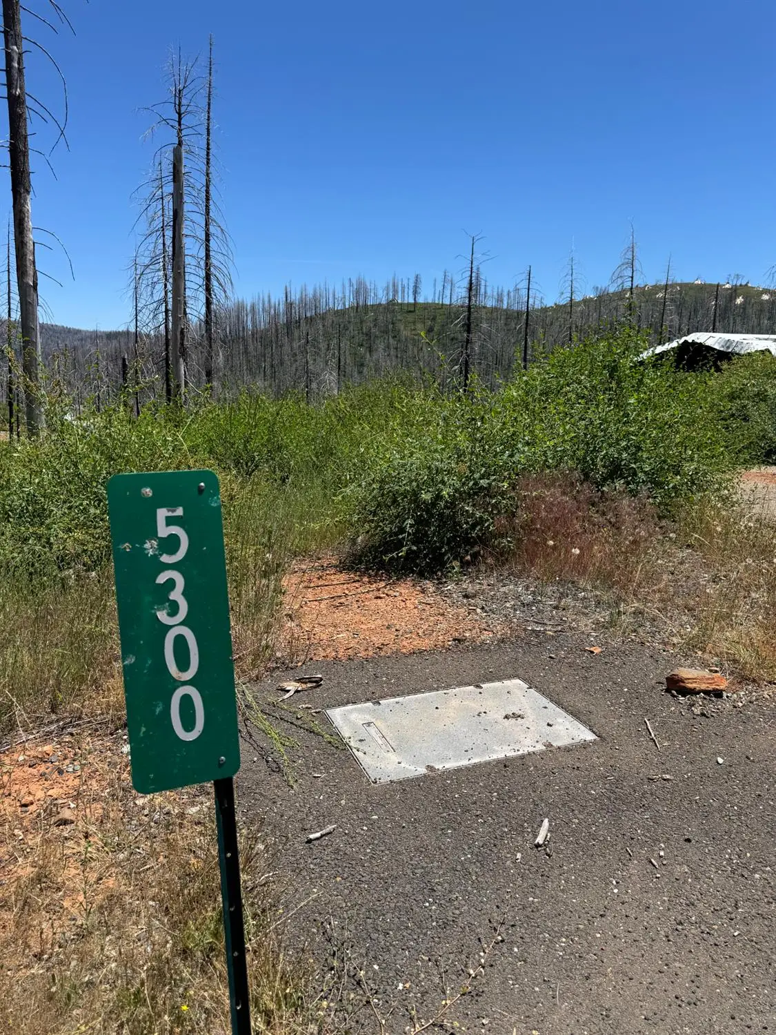 5300 Golden Aspen, Grizzly Flats, CA 95636 - #1