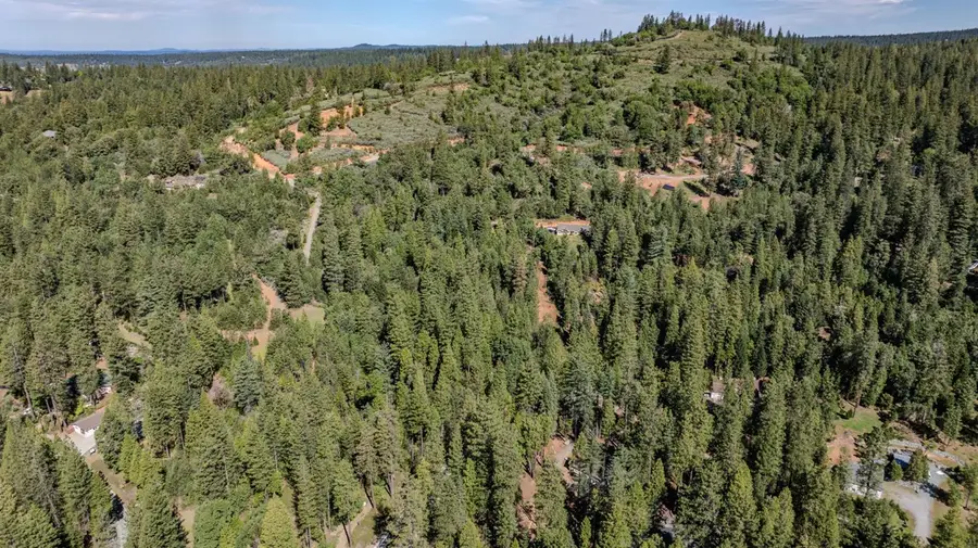 10 Point Court, Pioneer, CA 95666 - #2