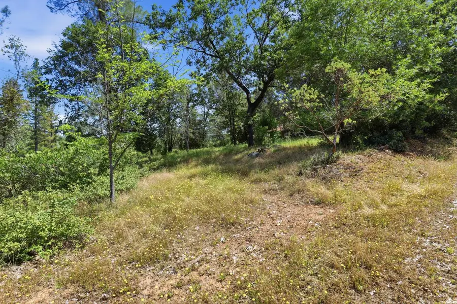 13863 Ingersoll Dr, Dobbins, CA 95935 - #3