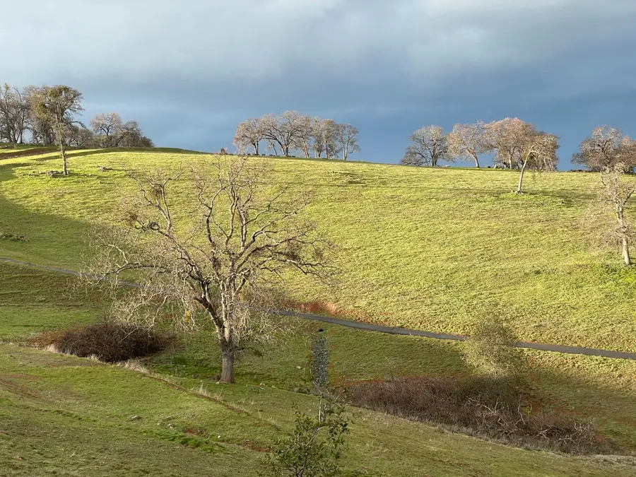 52 David Drive, Sutter Creek, CA 95685 - #3