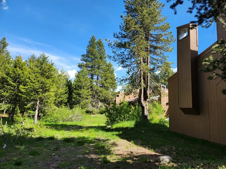 201 Bear Valley Road #26, Bear Valley, CA 95223 - #2