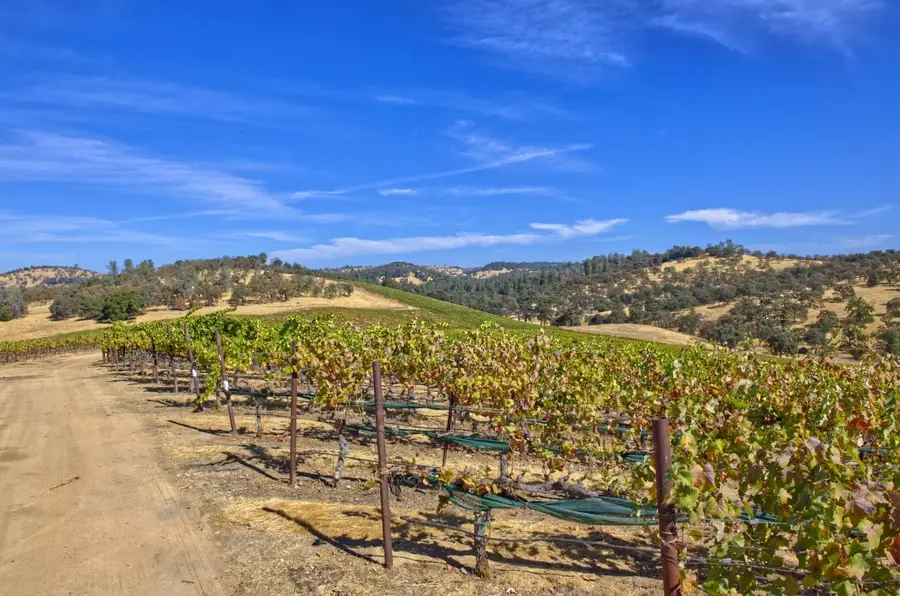 0 Veauta Road, Plymouth, CA 95669 - #3