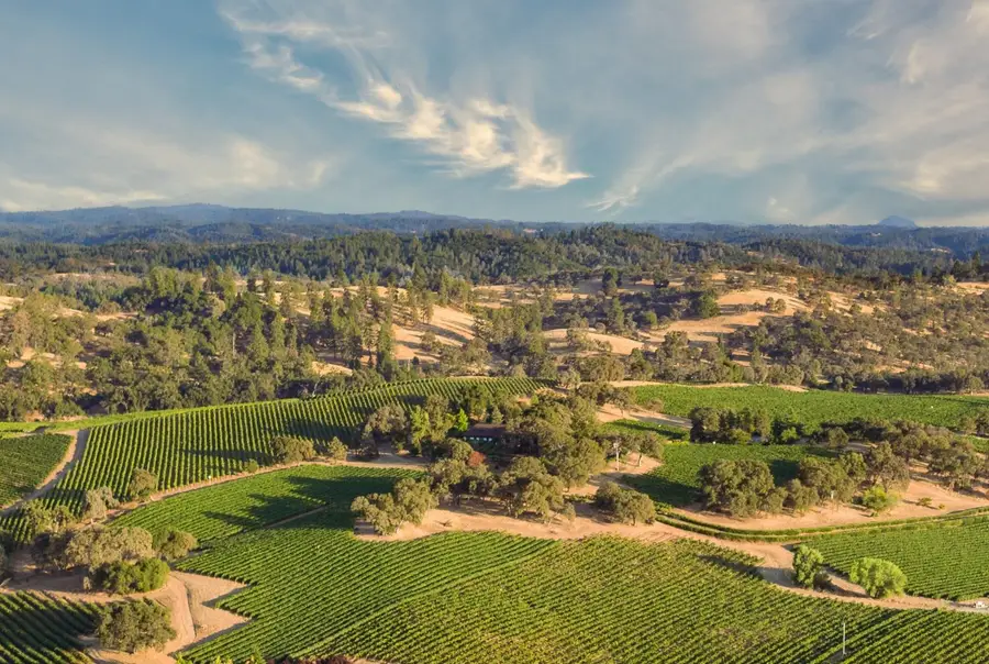 20540 Shenandoah School Road, Plymouth, CA 95669 - #2