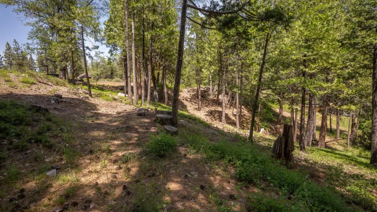 2690 Cheyenne Way, Dorrington, CA 95223 - #1