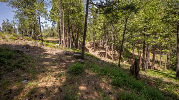 2690 Cheyenne Way, Dorrington, CA 95223
