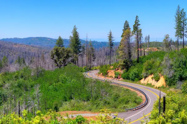 0 Oro Quincy Highway, Berry Creek, CA 95916