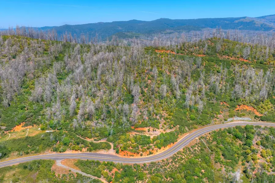 0 Oro Quincy Highway, Berry Creek, CA 95916 - #3