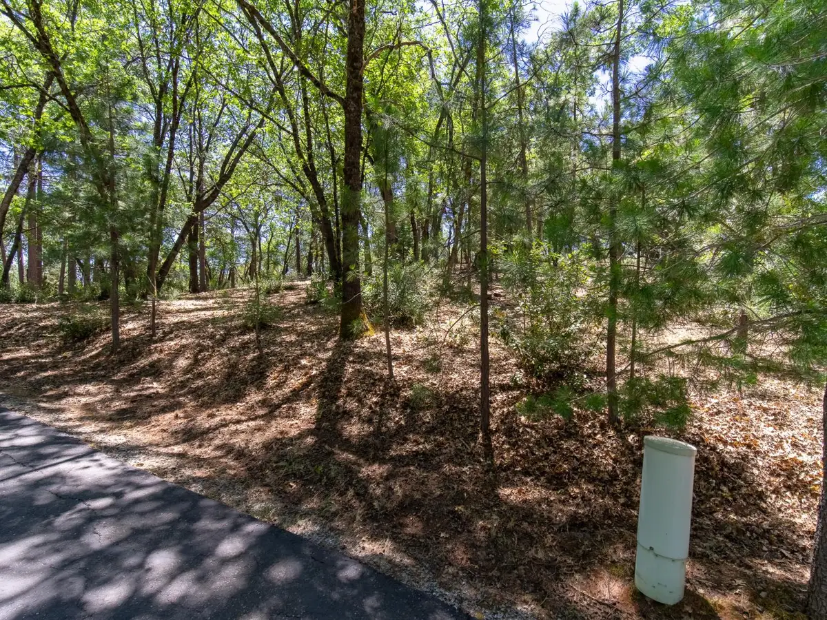 5030 Irish Oak Lane, Placerville, CA 95667 - #1
