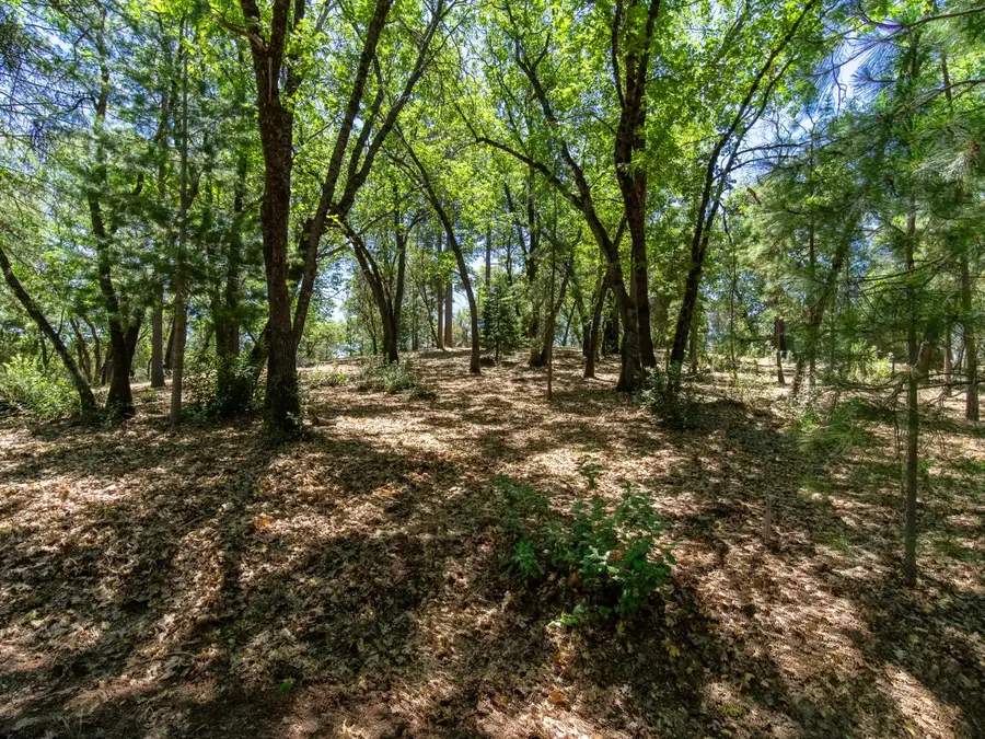 5030 Irish Oak Lane, Placerville, CA 95667 - #2