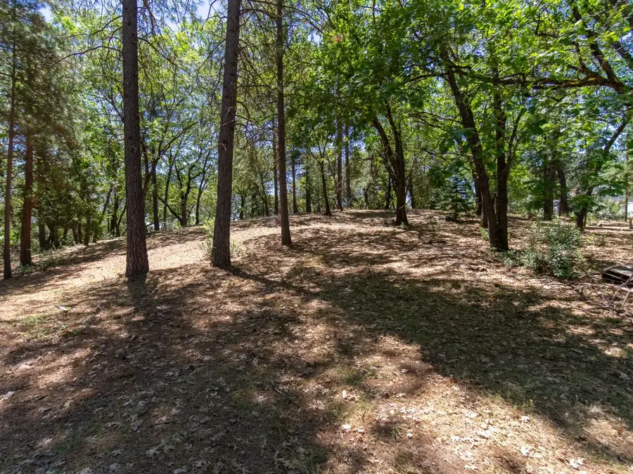 5030 Irish Oak Lane, Placerville, CA 95667 - #3
