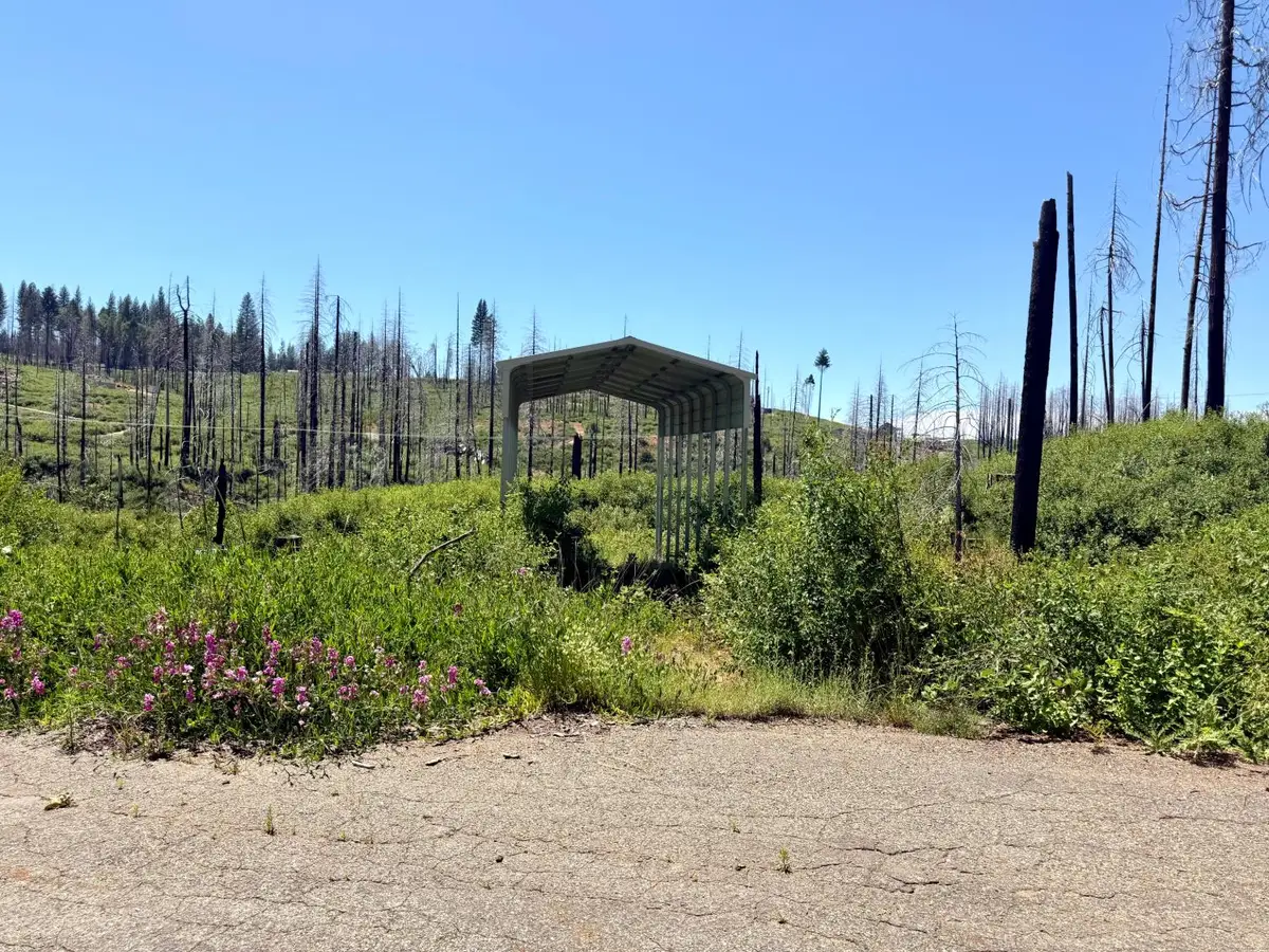 5110 Evergreen Drive, Grizzly Flats, CA 95636 - #1