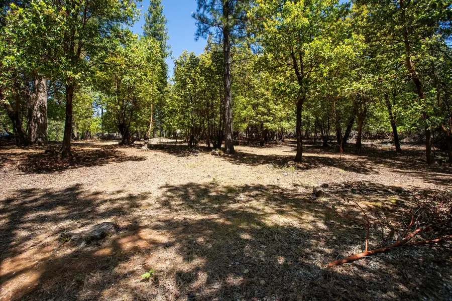 3196 Pine Cone Court, Placerville, CA 95667 - #2