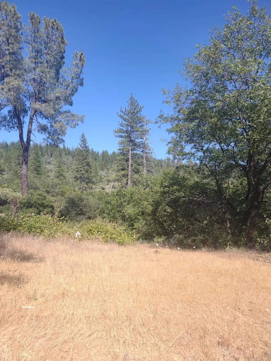 8679 Hilory Lane, Dobbins, CA 95935 - #2